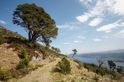 Great Glen Way & Loch Ness