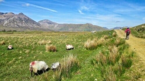 Connemara & der Westen Irlands