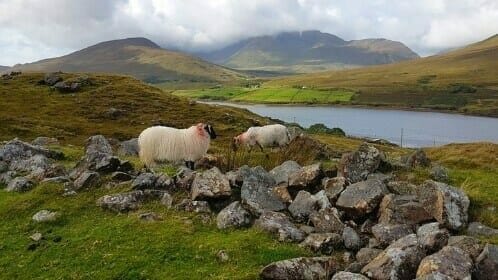 Connemara & der Westen Irlands