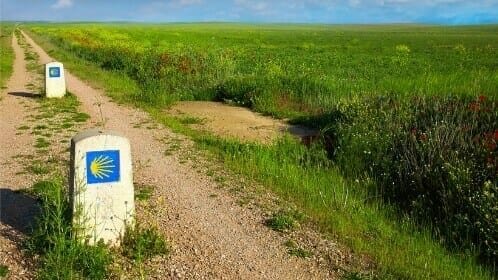 Camino Frances