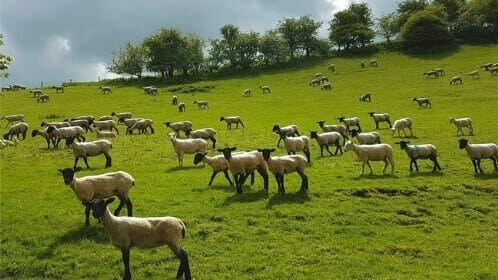 Cotswold Way