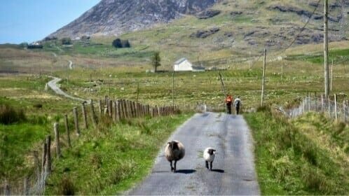 Connemara & der Westen Irlands