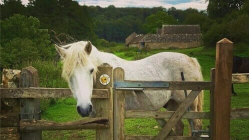 Cotswold Way
