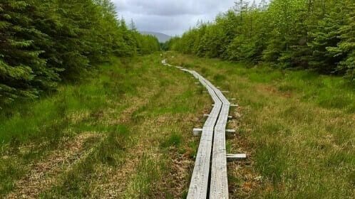 Connemara & der Westen Irlands