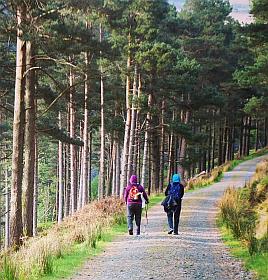 St Kevin’s Way & Glendalough