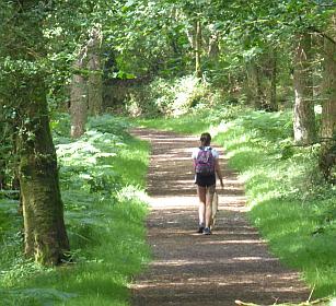 St Kevin’s Way & Glendalough