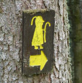 St Kevin’s Way & Glendalough