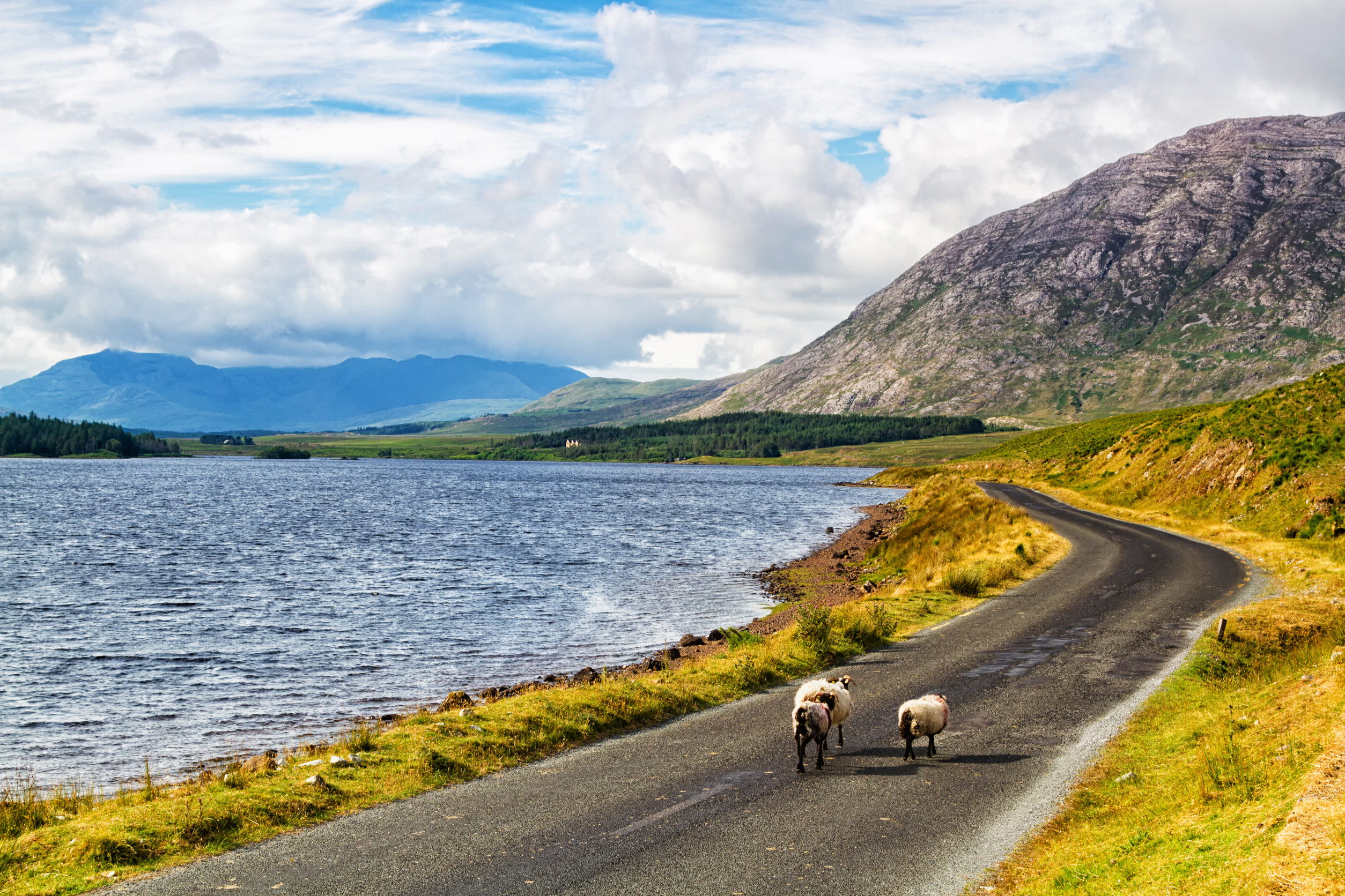 West Of Ireland And Connemara With Hillwalk Tours (37)