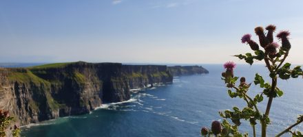 Die Klippen von Moher am Burren Way