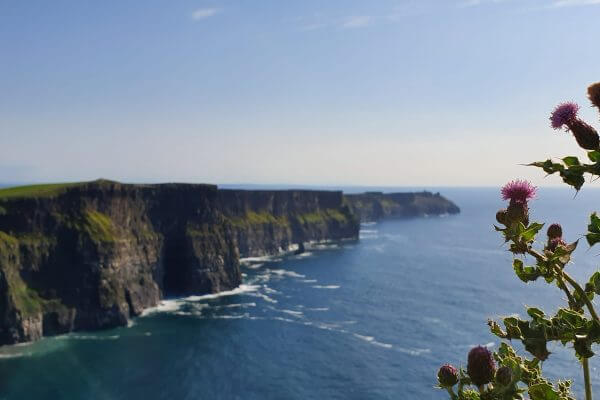 Die Klippen von Moher am Burren Way
