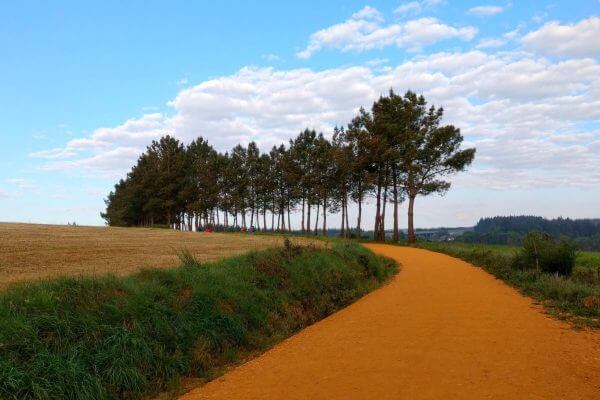 Wanderweg, Bäume und Himmel auf dem Jakobsweg