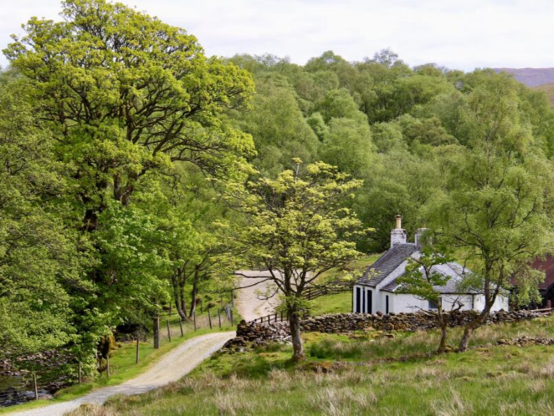 Kirkton Farm