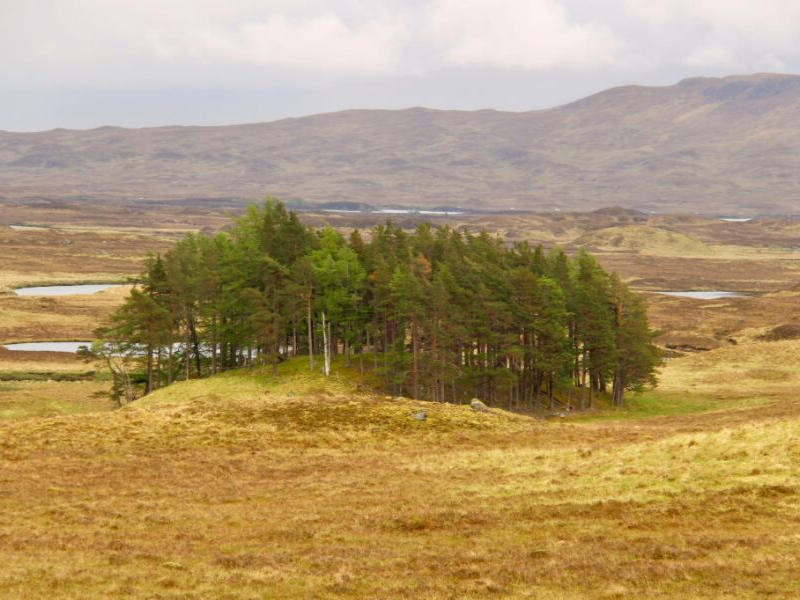 Glencoe Valley