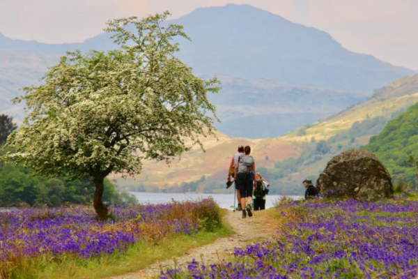 Loch Lomond