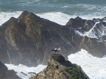Rota Vicentina (Fischerpfad)