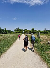 Camino Portugues (Central)
