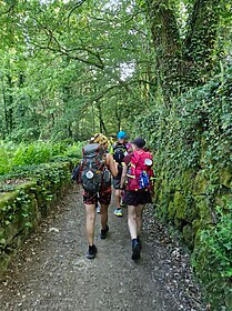 Camino Portugues (Central)