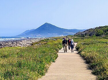 Camino Portugues (Küstenweg)