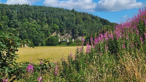 Speyside Way (Der Whisky-Trail)