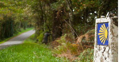 camino waymarker by side of road 6