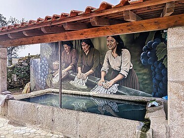 Porto & das Douro-Tal (Ausgewählte Wanderwege)