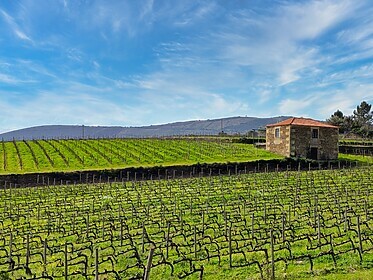 Porto & das Douro-Tal (Ausgewählte Wanderwege)