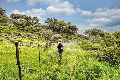 Porto & das Douro-Tal (Ausgewählte Wanderwege)
