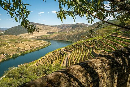Porto & das Douro-Tal (Ausgewählte Wanderwege)