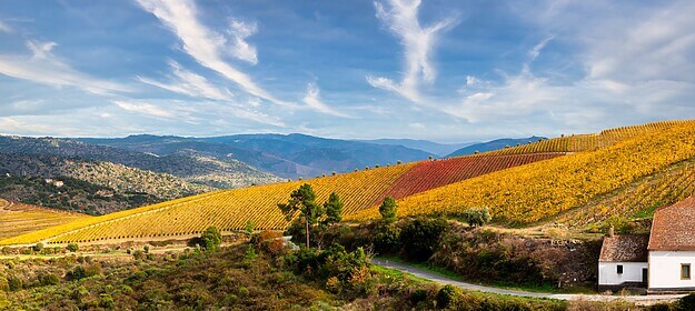 Porto & das Douro-Tal (Ausgewählte Wanderwege)
