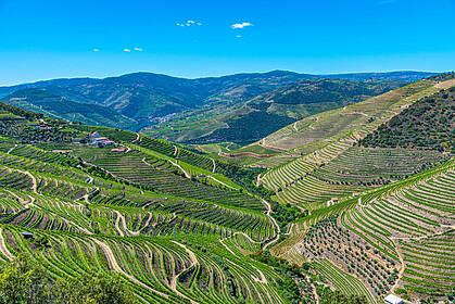 Porto & das Douro-Tal (Ausgewählte Wanderwege)