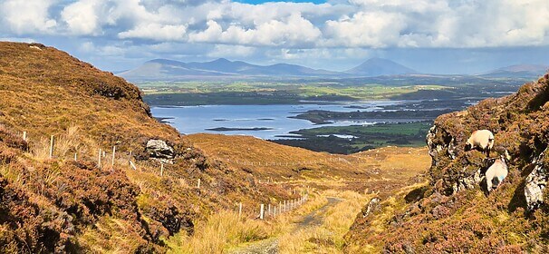 Connemara & der Westen Irlands