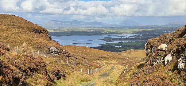 Connemara & der Westen Irlands