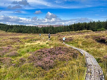 Wicklow Way & Glendalough-Wanderwege