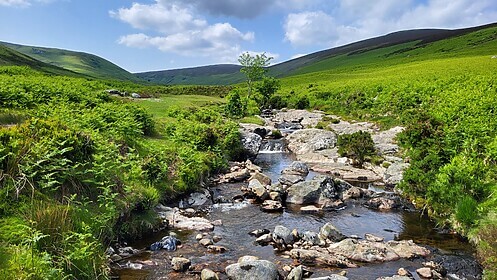 Wicklow Way & Glendalough-Wanderwege