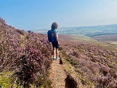 Wicklow Way & Glendalough-Wanderwege