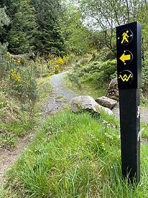 Wicklow Way & Glendalough-Wanderwege