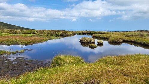 Wicklow Way & Glendalough-Wanderwege