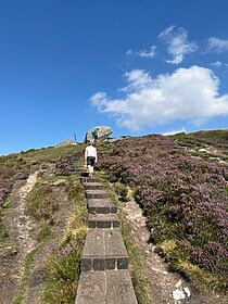 Wicklow Way & Glendalough-Wanderwege