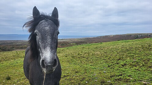 Burren Way & Cliffs of Moher