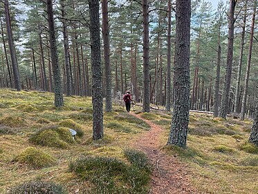 Speyside Way (Der Whisky-Trail)