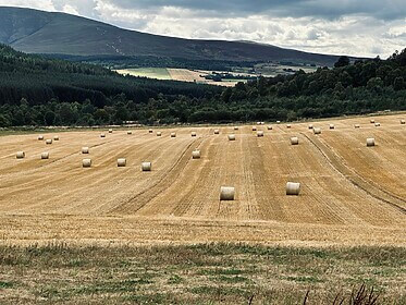 Speyside Way (Der Whisky-Trail)