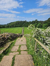 Hadrian’s Wall Path (Ost nach West)