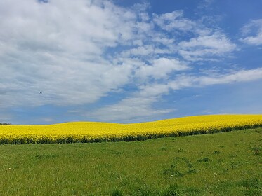 Hadrian’s Wall Path (Ost nach West)